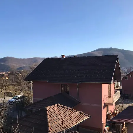 Lul Brus Mala Grabovnica (Brus)